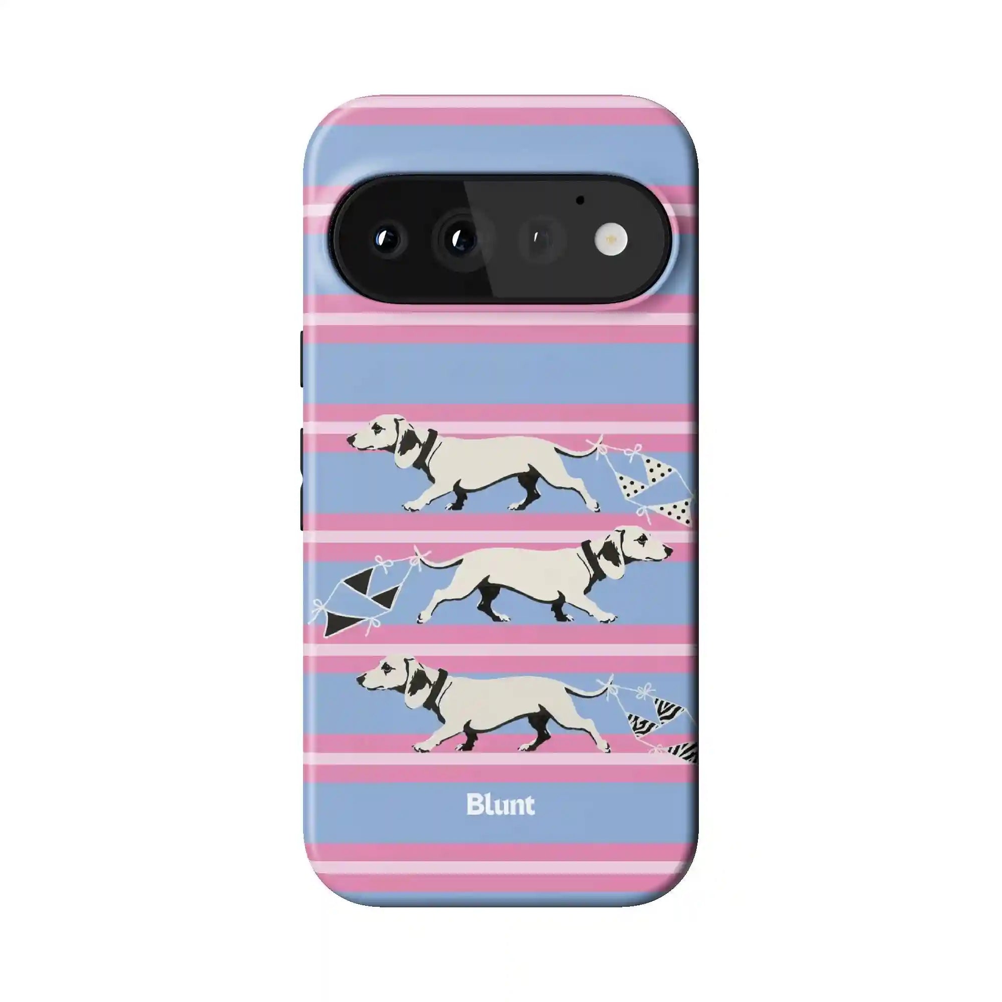 bluntcasesus.it.com