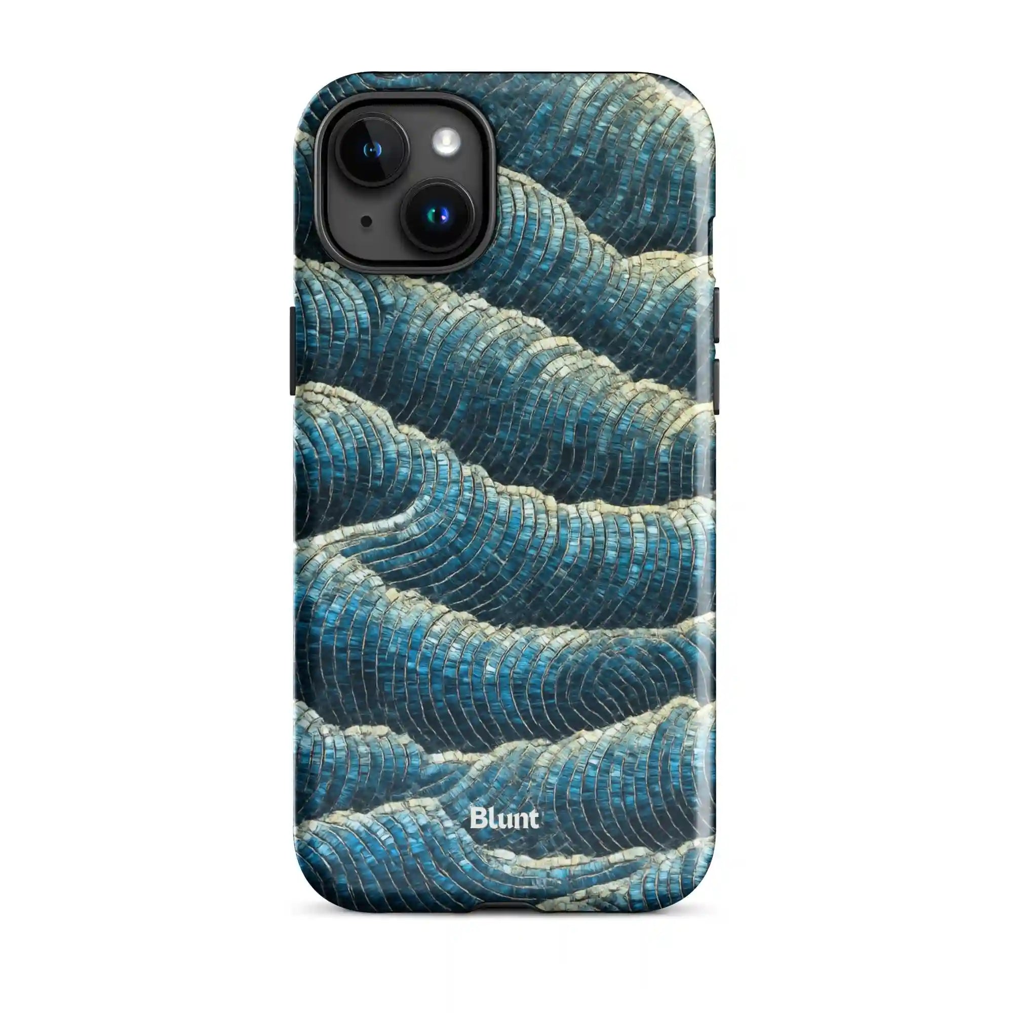 bluntcasesus.it.com