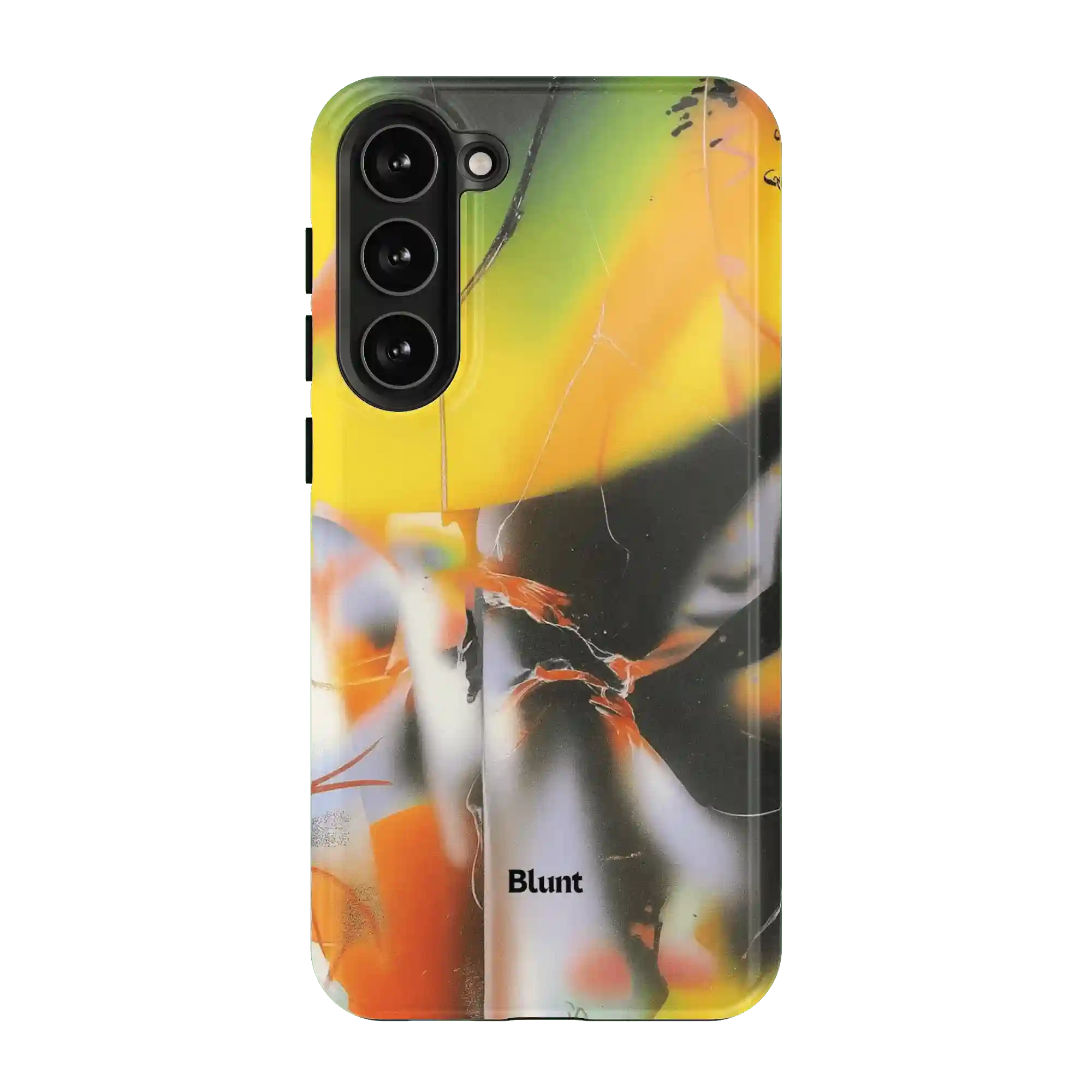 bluntcasesus.it.com