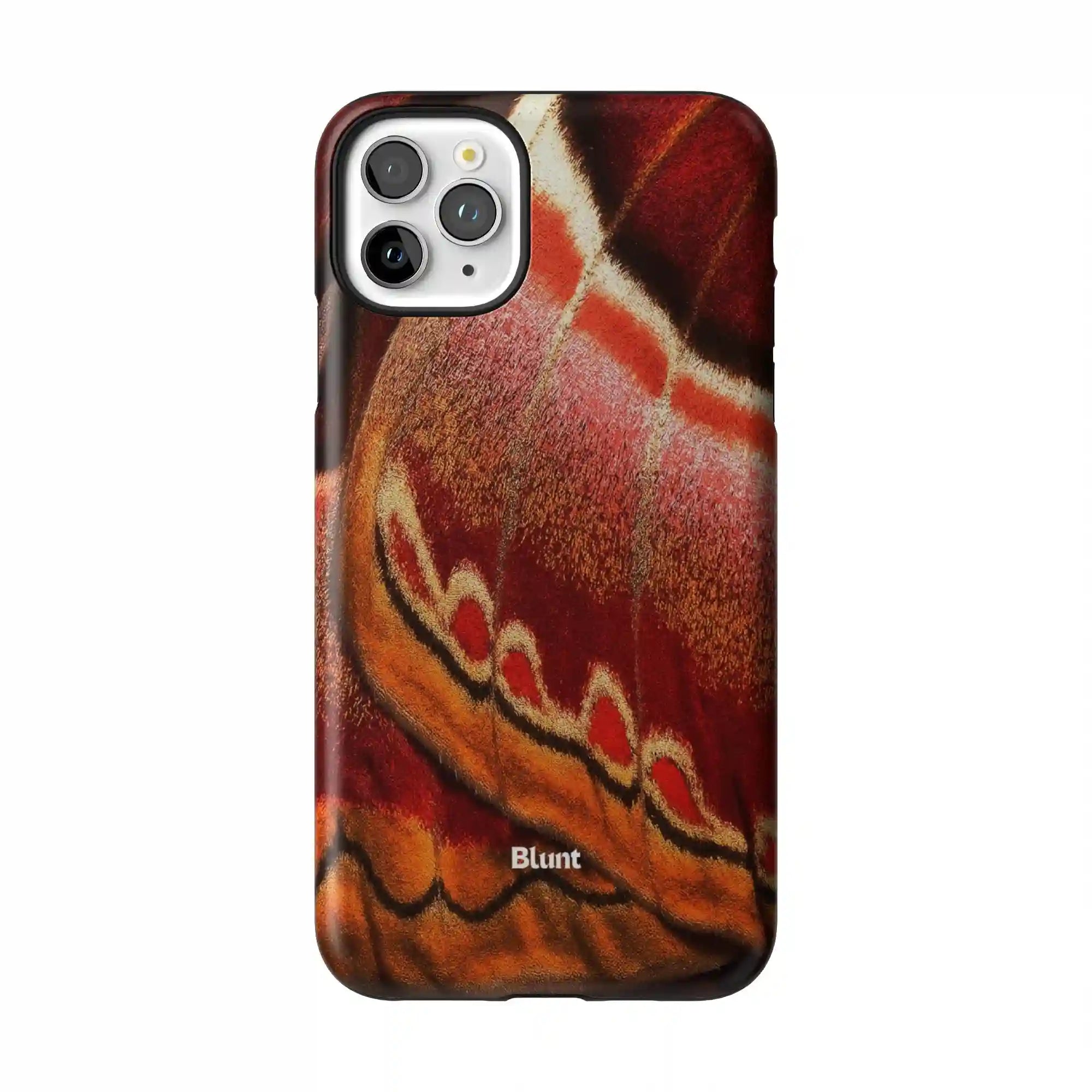 bluntcasesus.it.com
