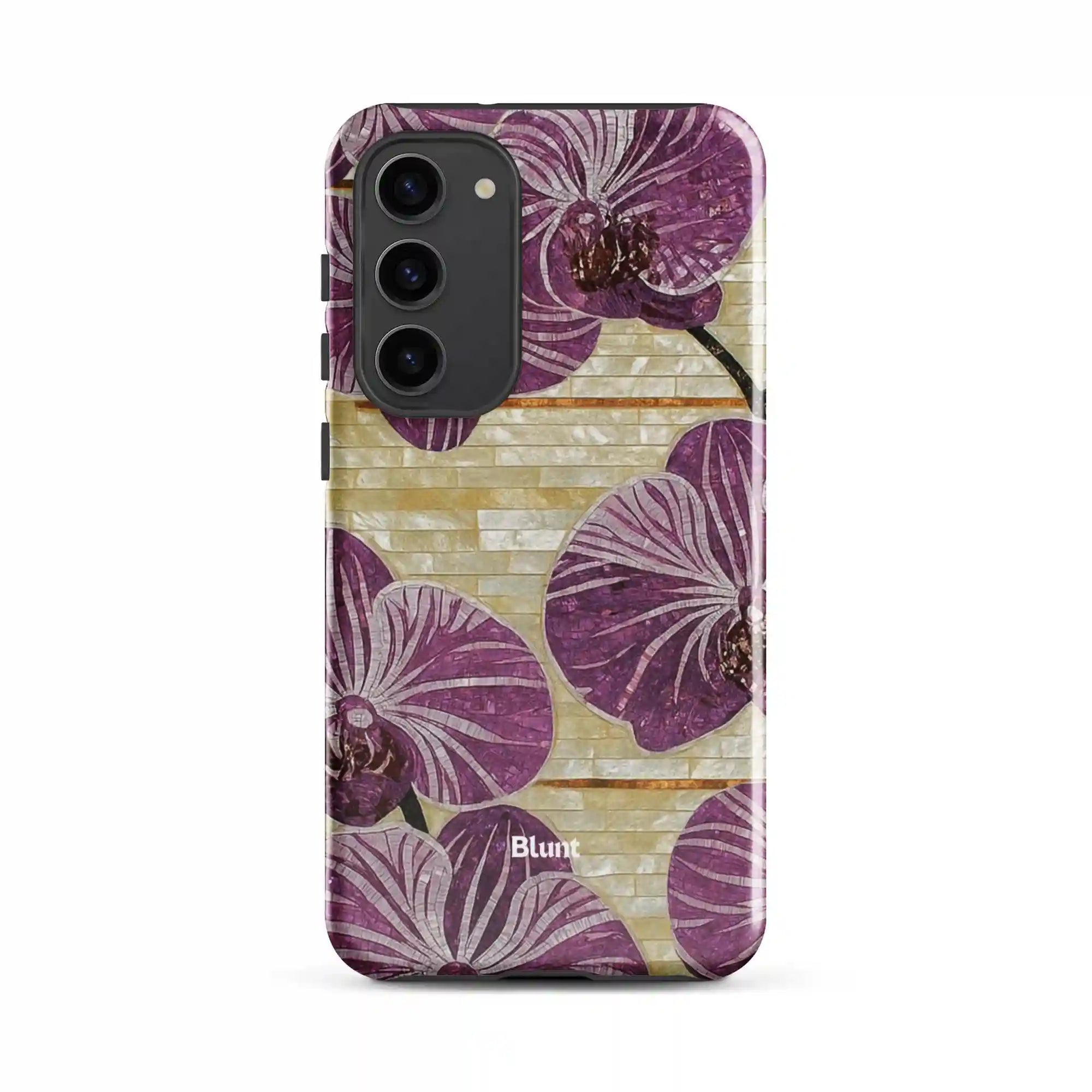 bluntcasesus.it.com