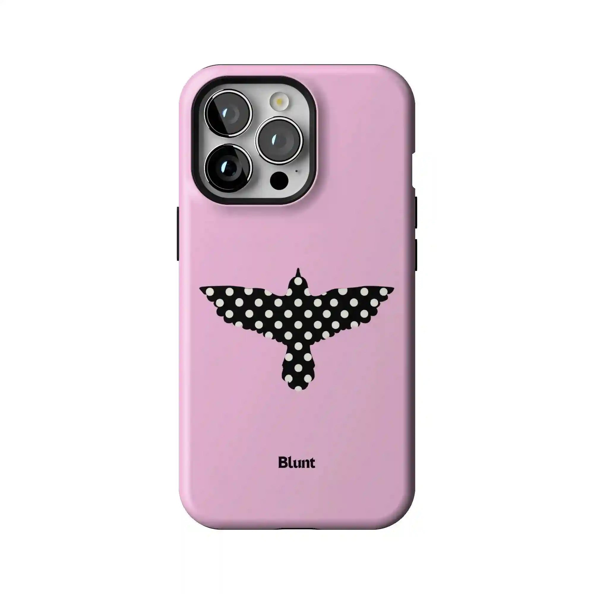 bluntcasesus.it.com