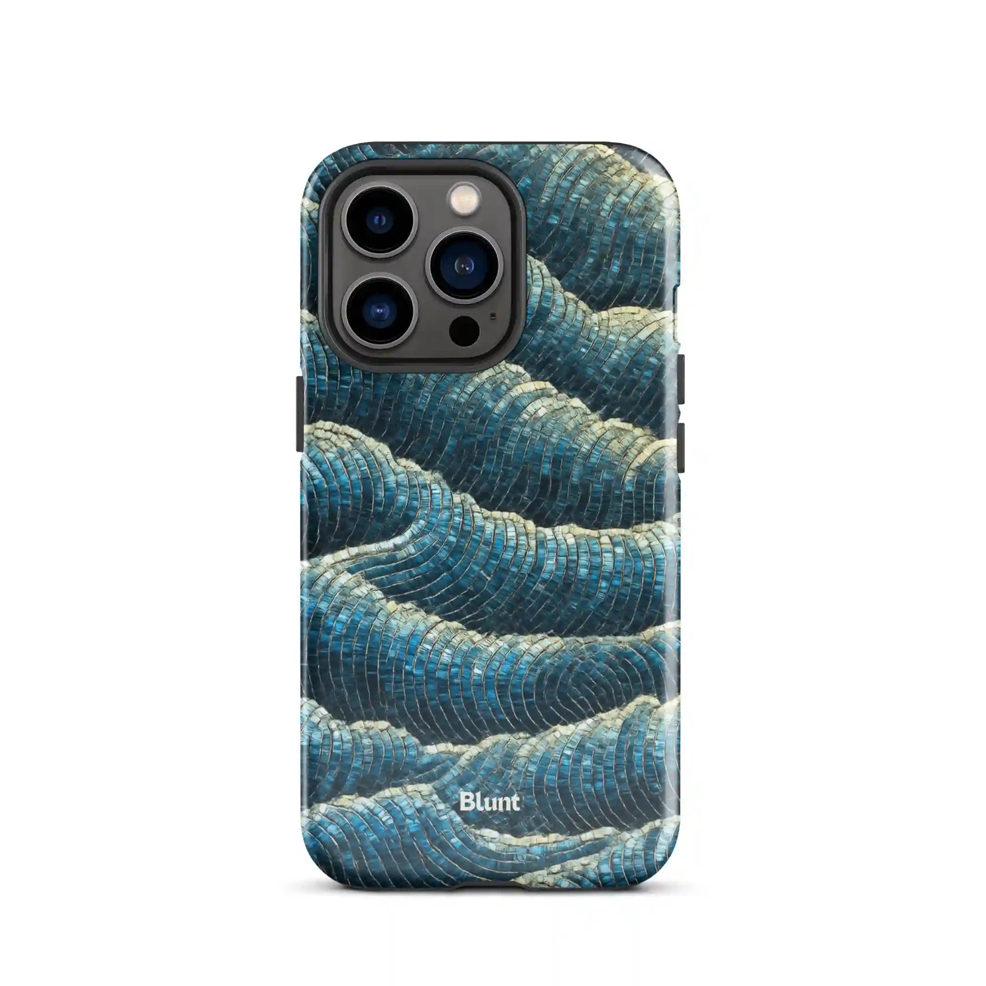 bluntcasesus.it.com