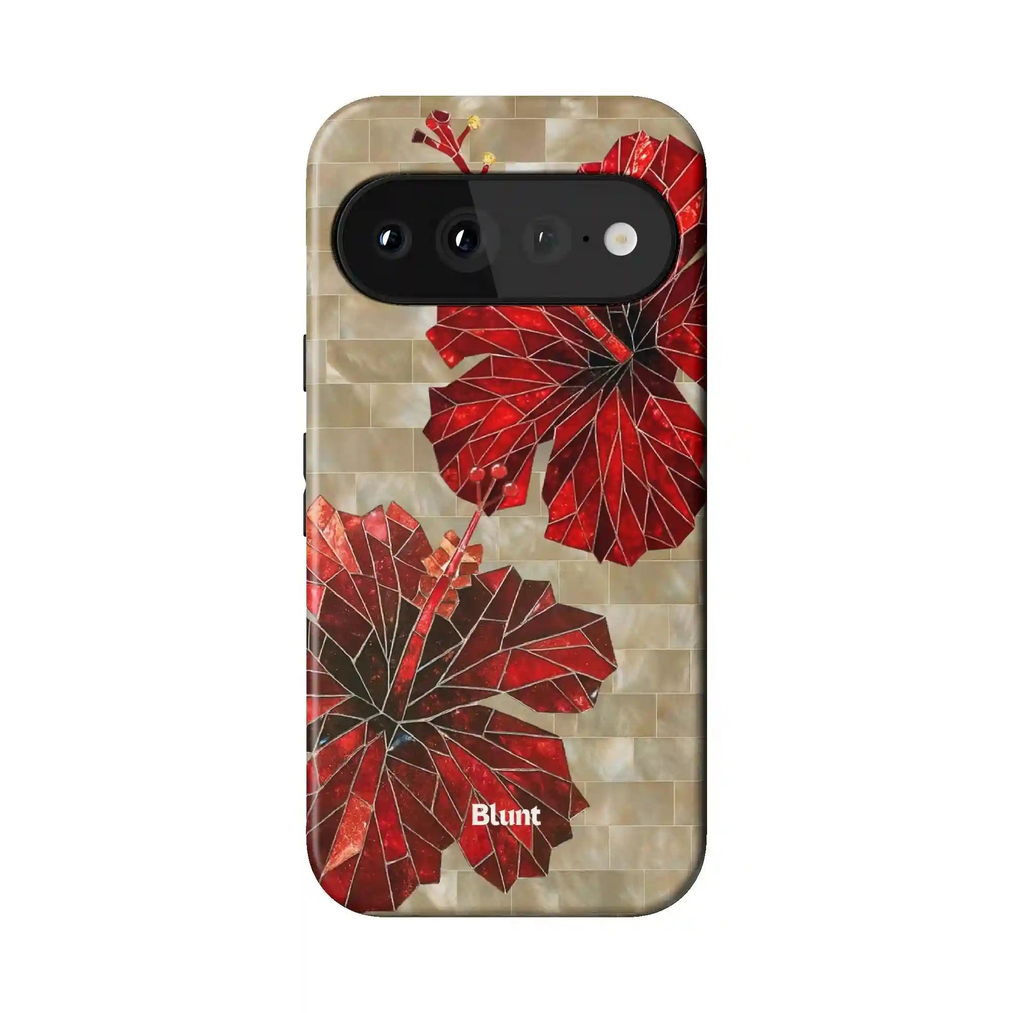 bluntcasesus.it.com