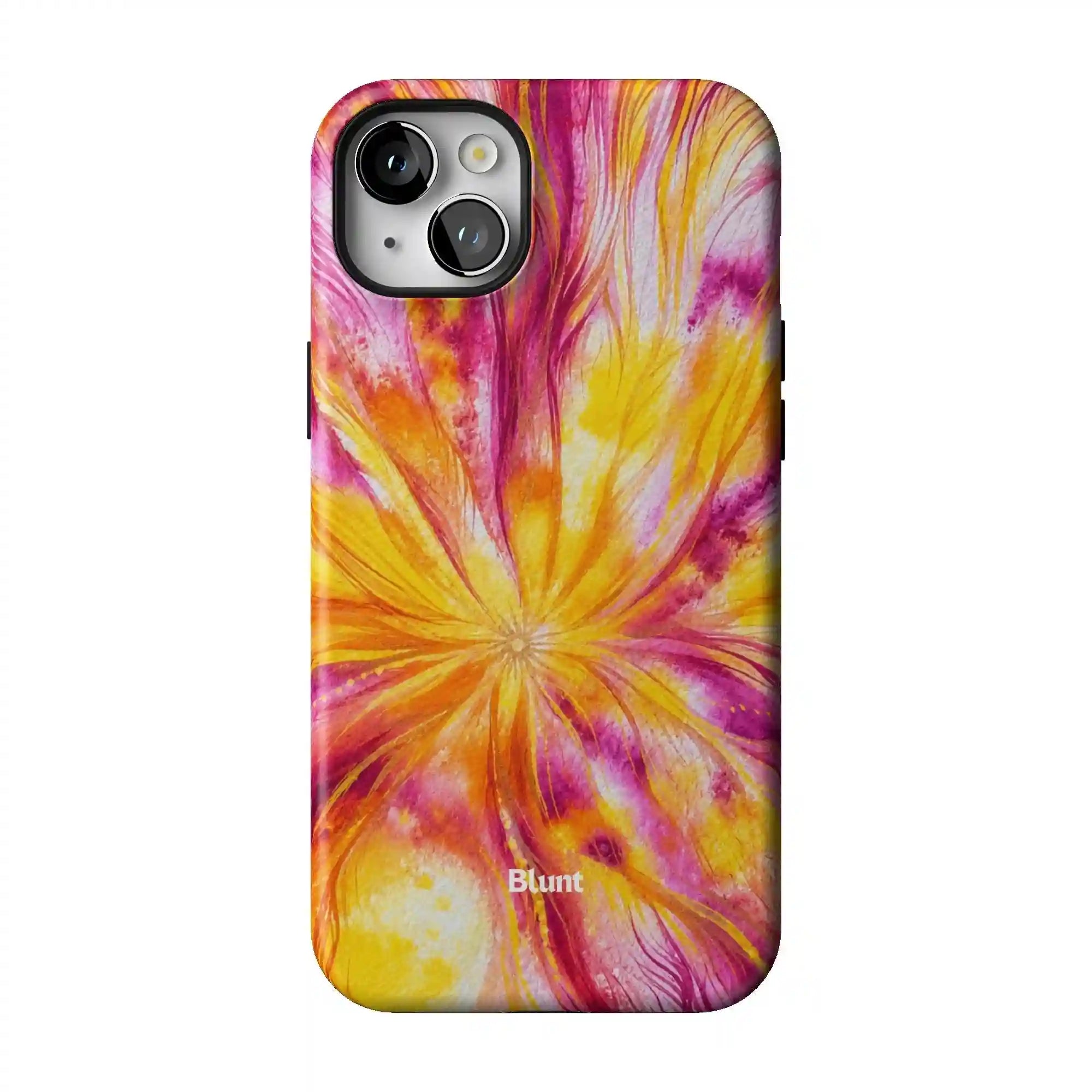 bluntcasesus.it.com
