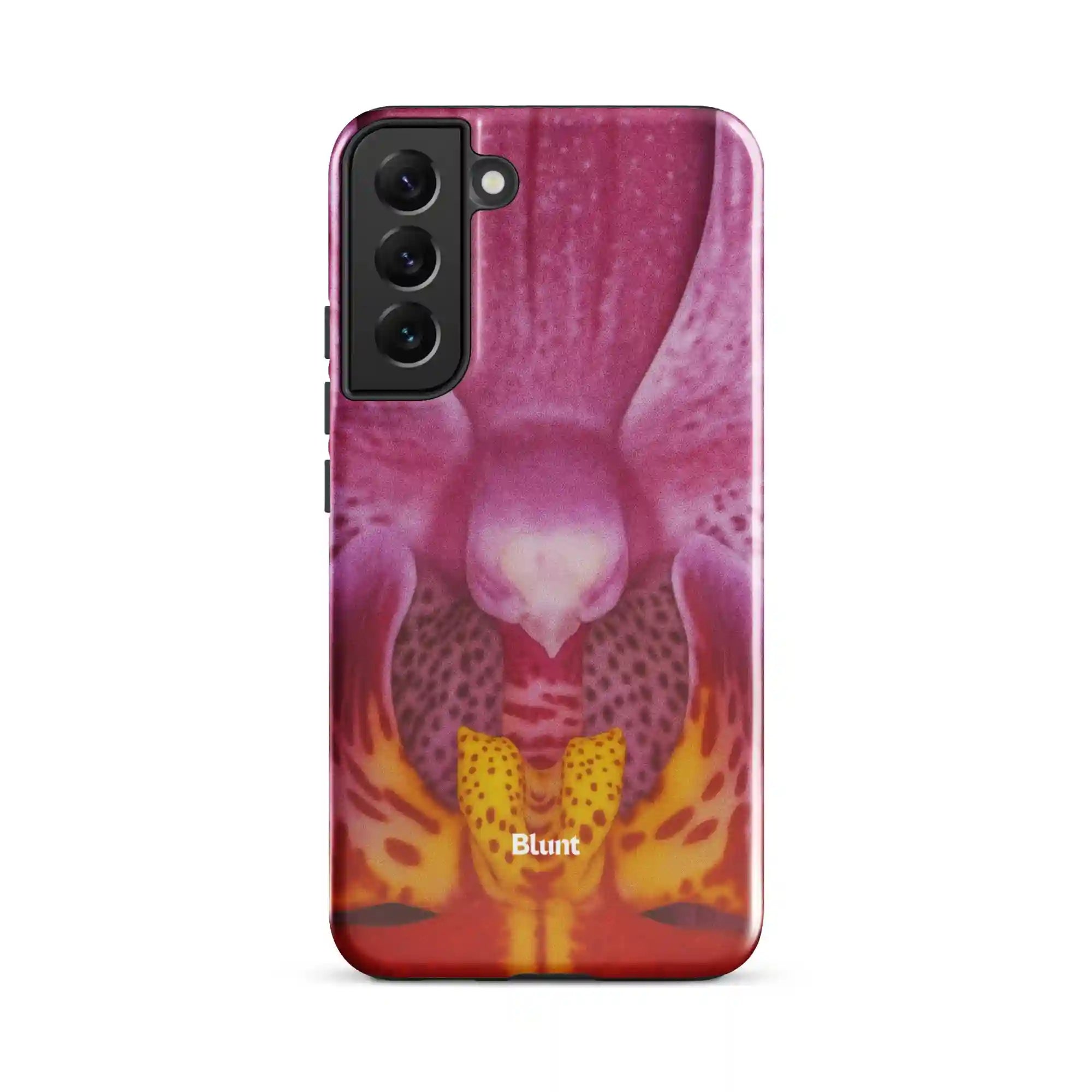 bluntcasesus.it.com