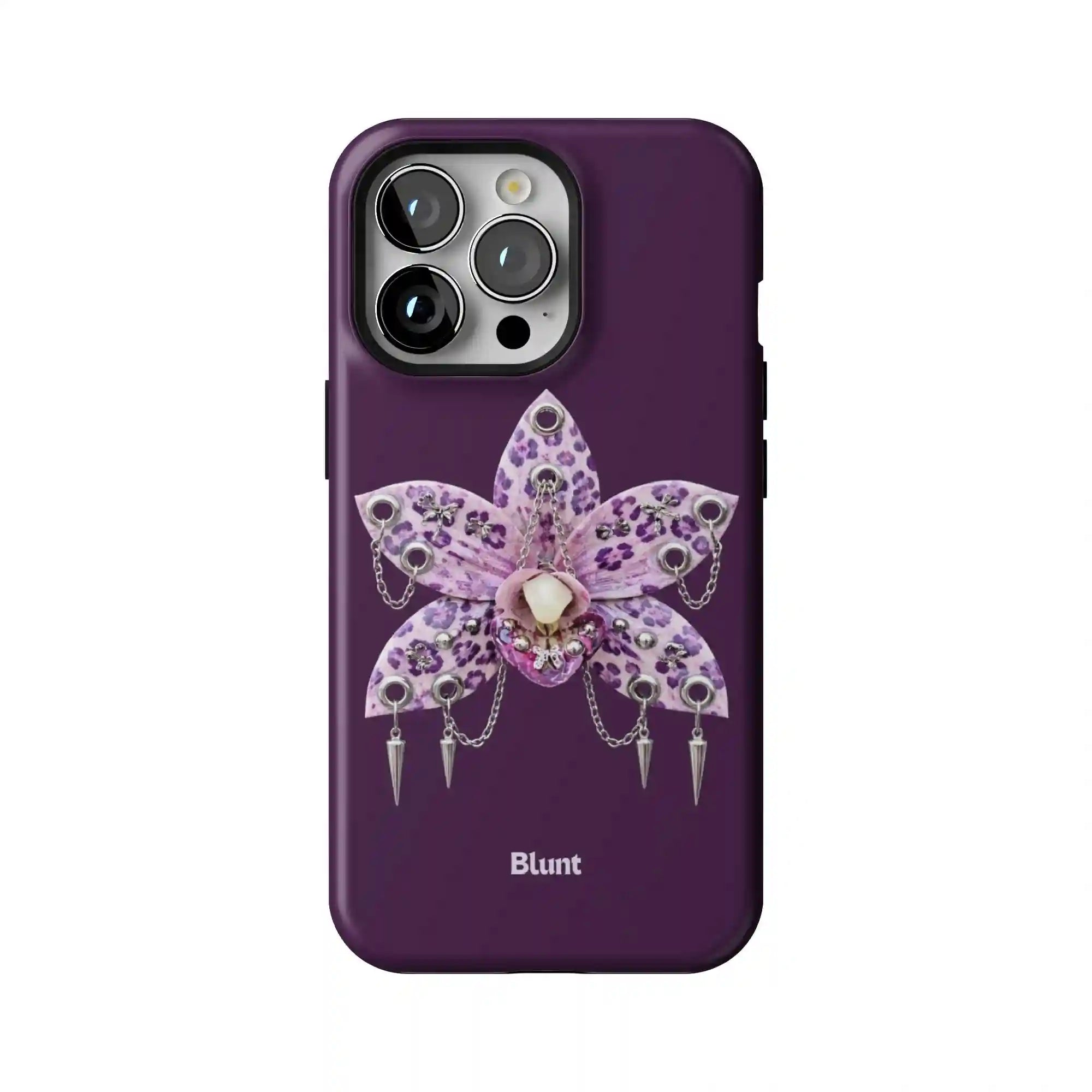 bluntcasesus.it.com