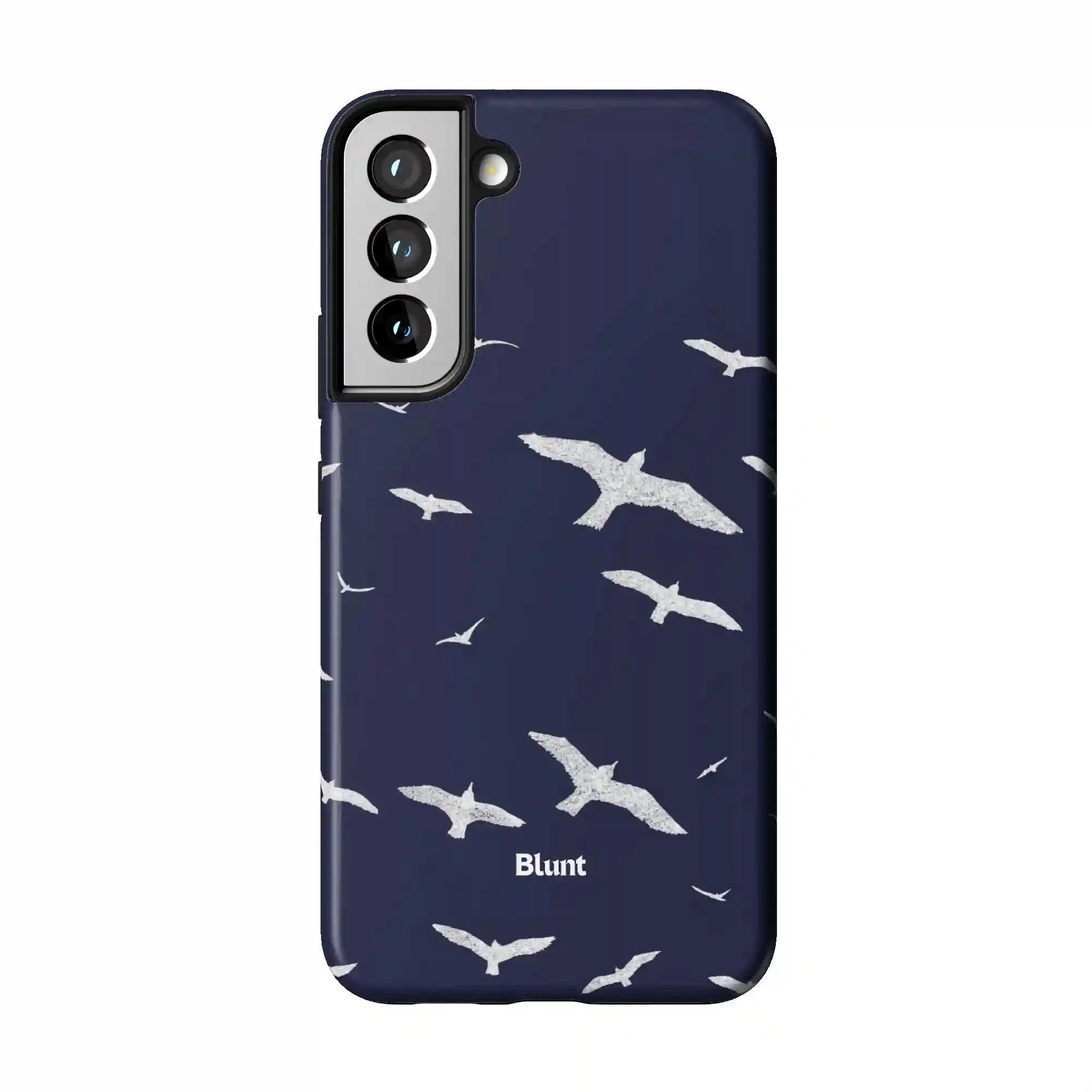 bluntcasesus.it.com