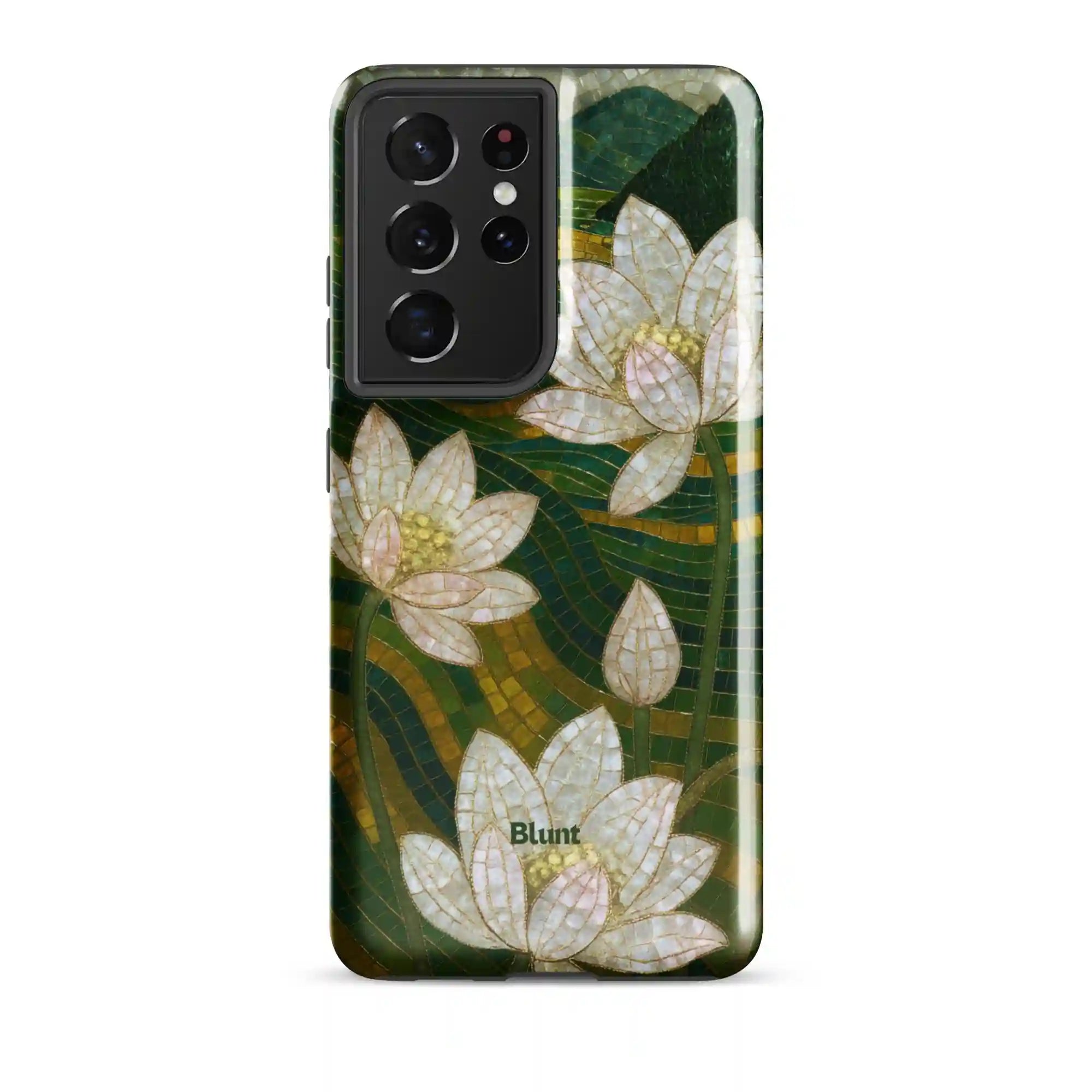 bluntcasesus.it.com