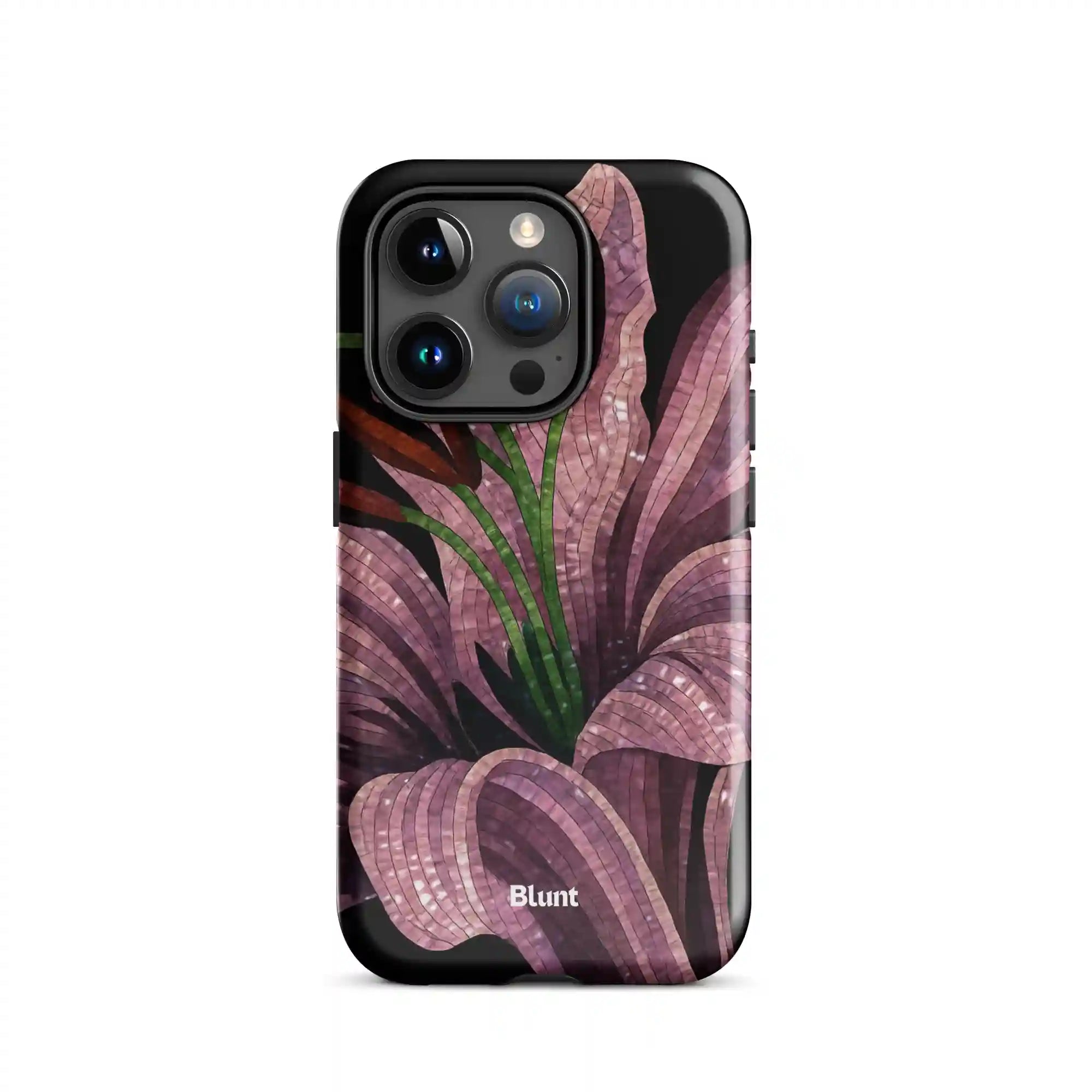 bluntcasesus.it.com