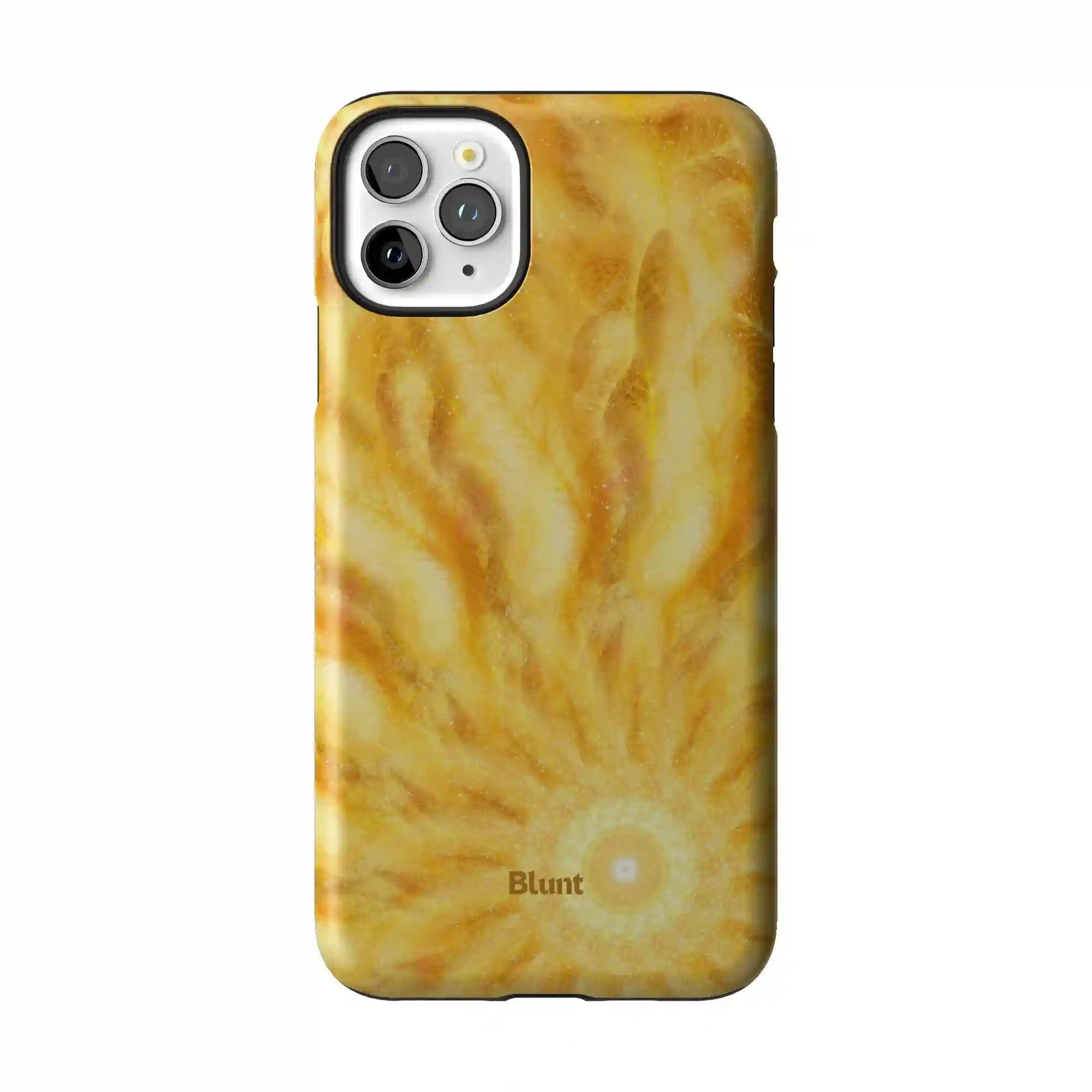 bluntcasesus.it.com