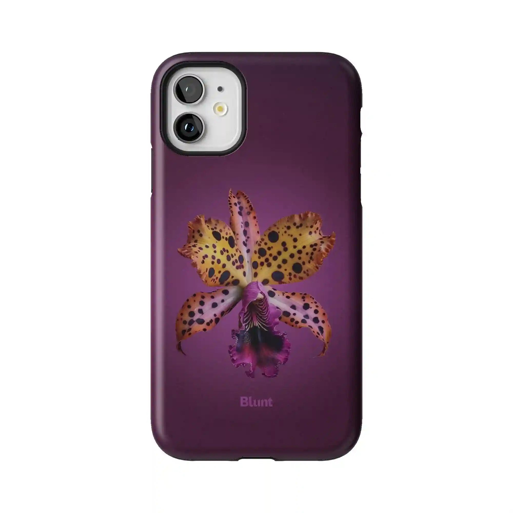 bluntcasesus.it.com