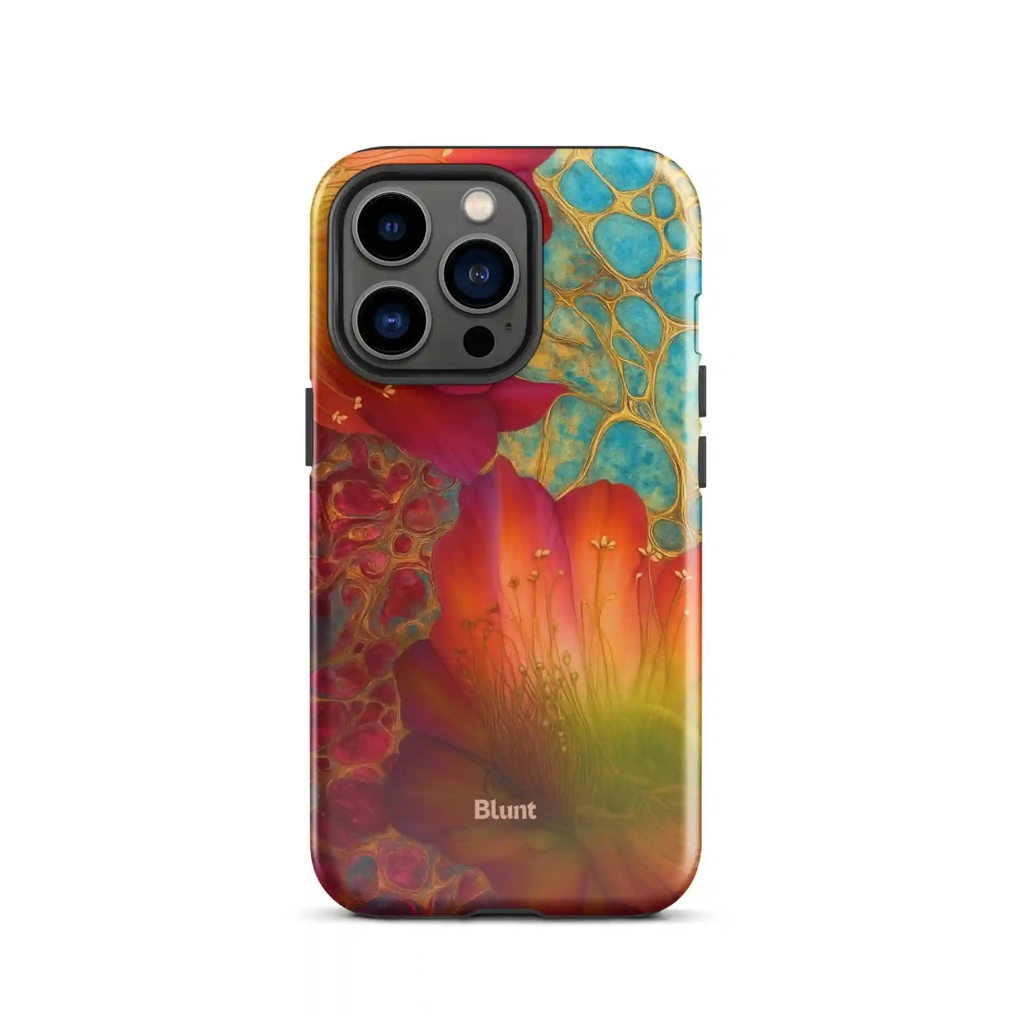 bluntcasesus.it.com