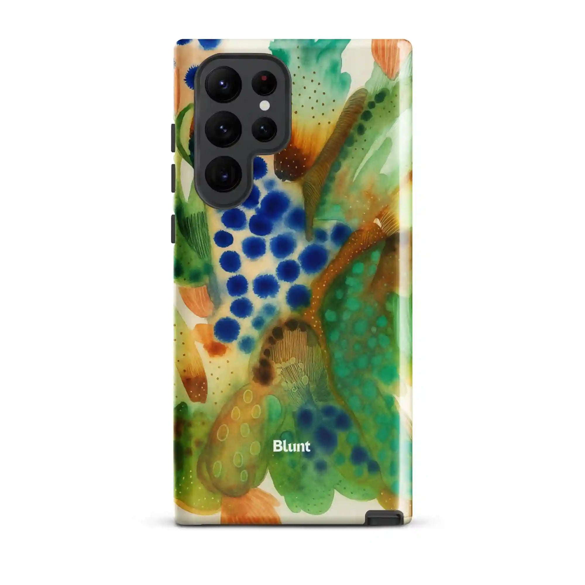 bluntcasesus.it.com