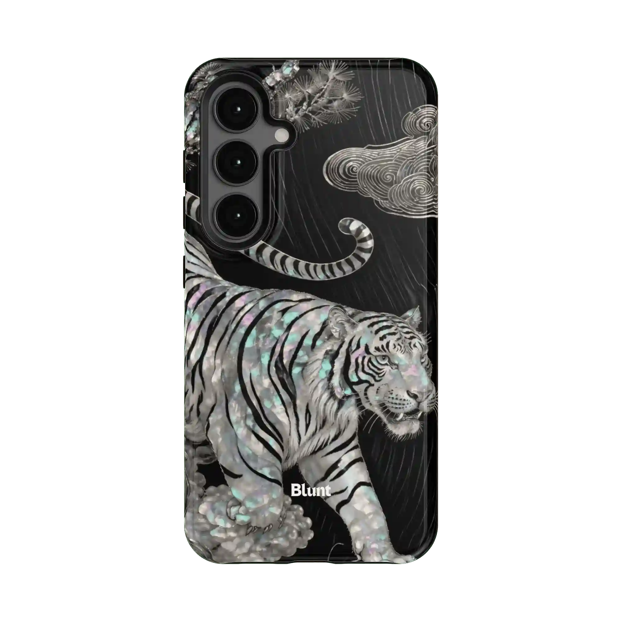 bluntcasesus.it.com