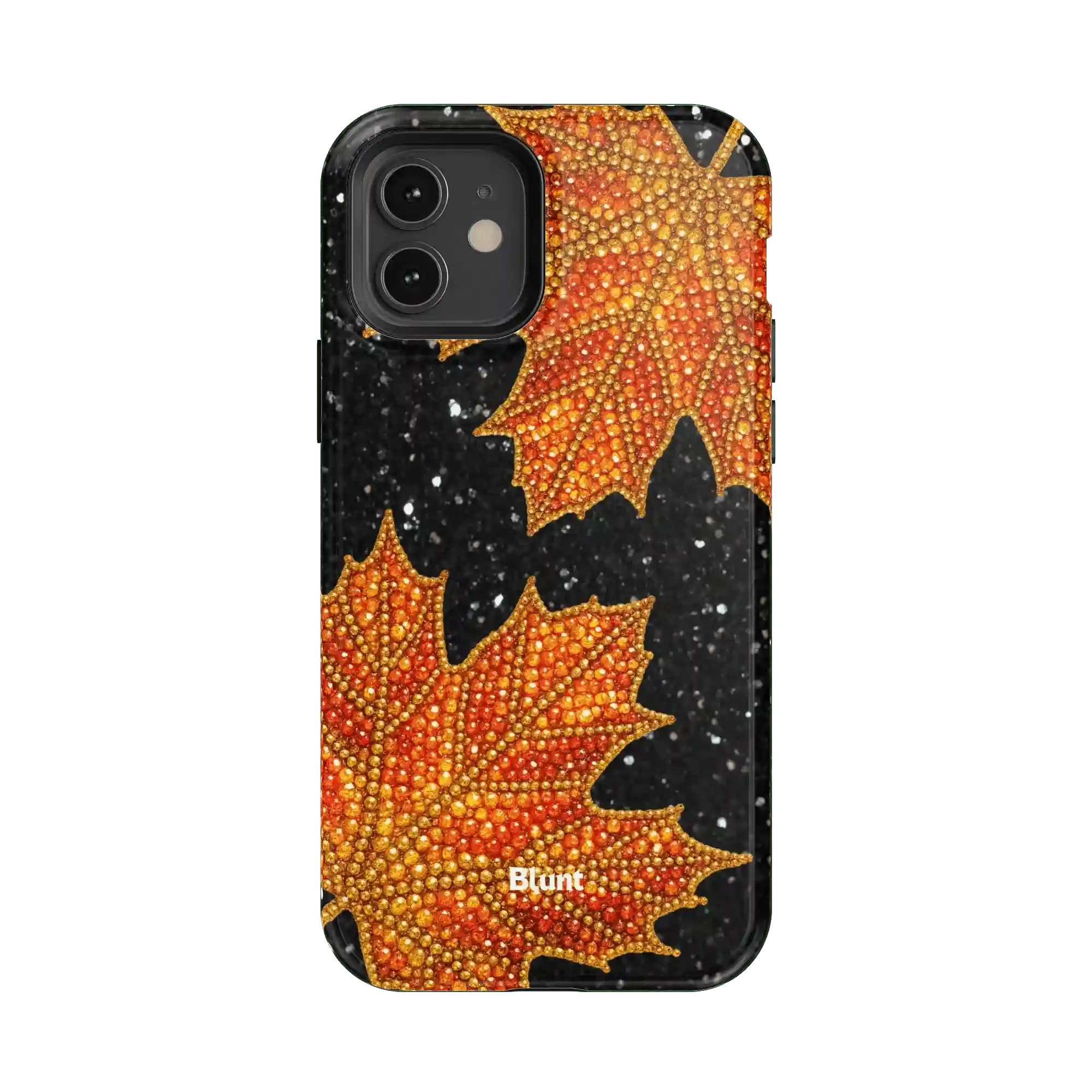 bluntcasesus.it.com