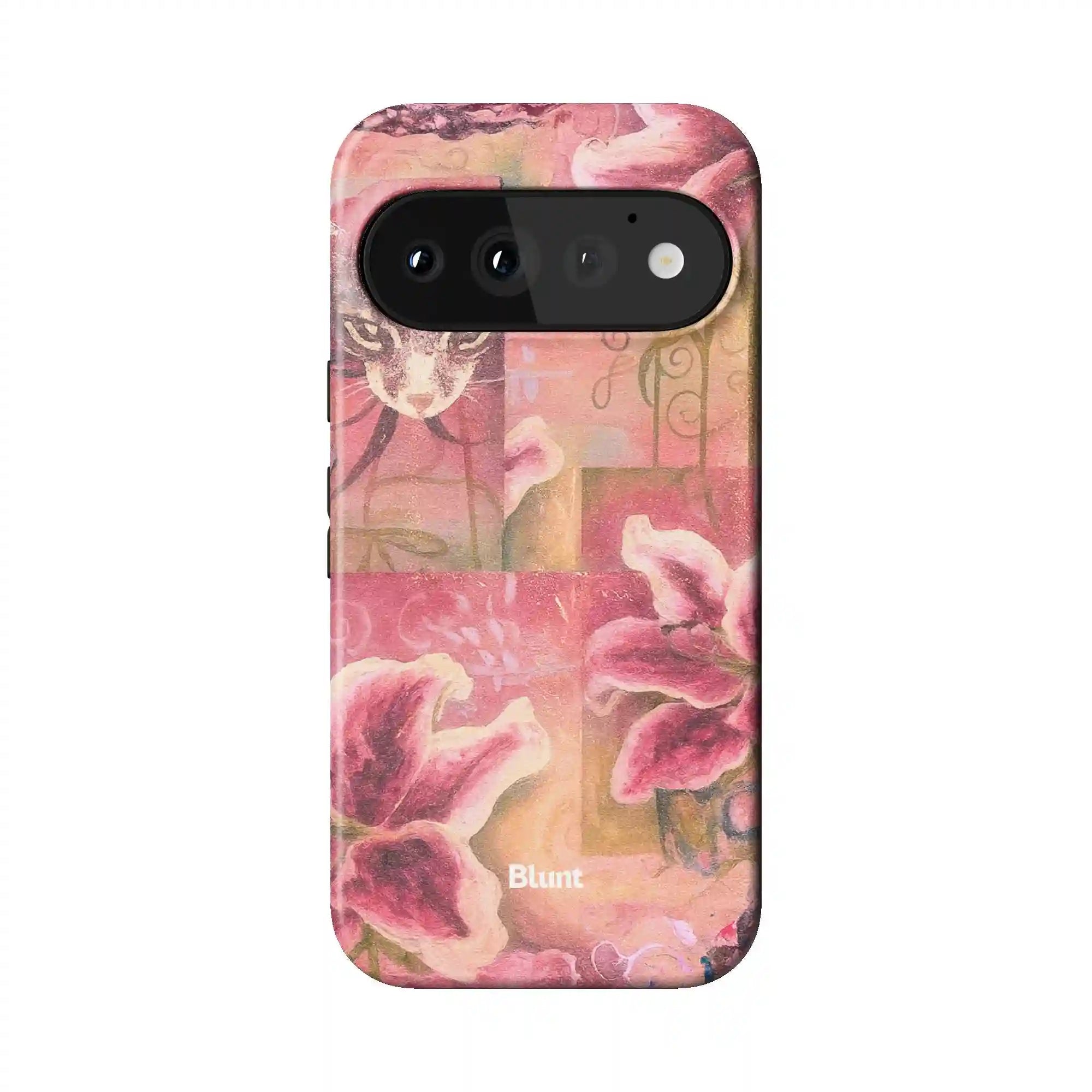 bluntcasesus.it.com