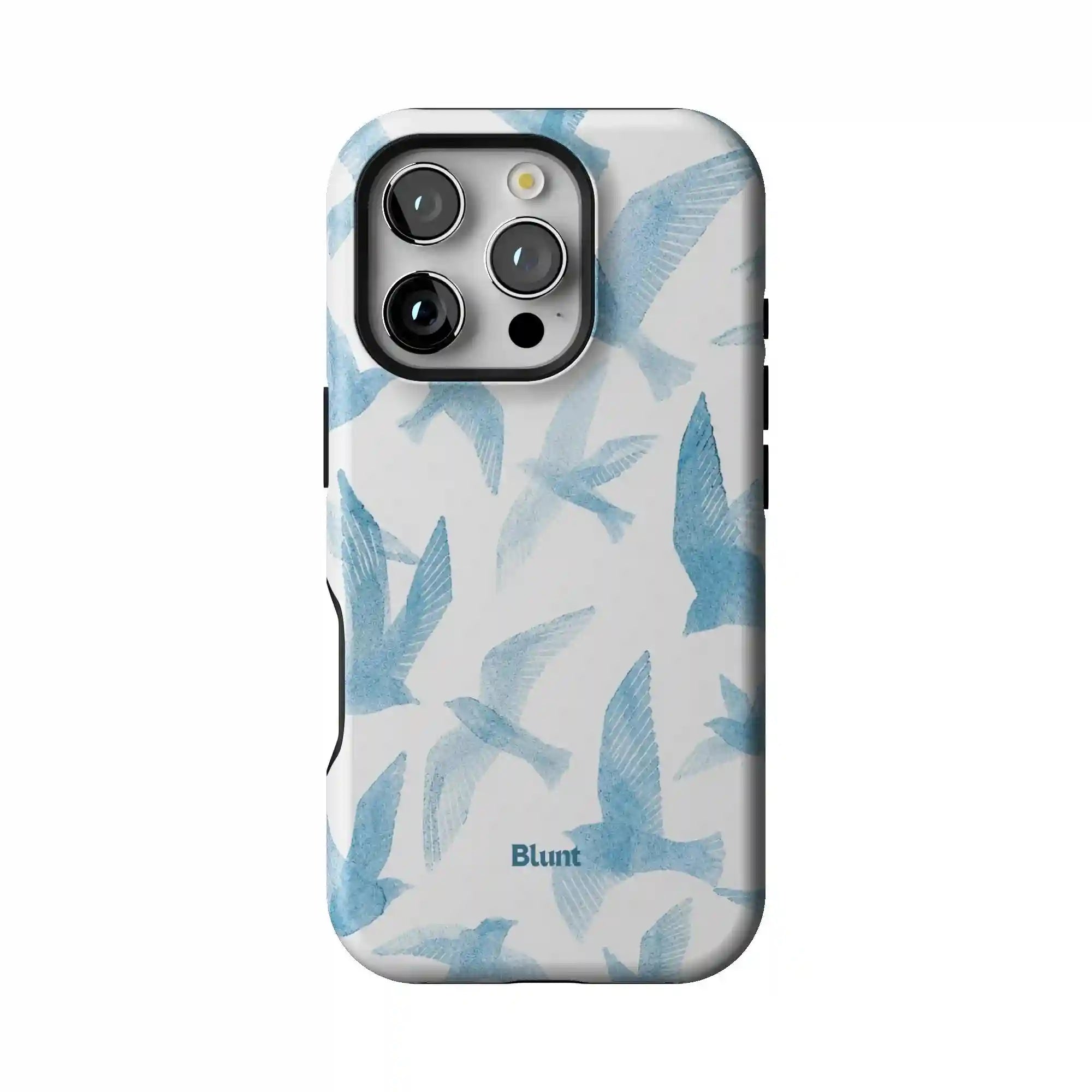 bluntcasesus.it.com
