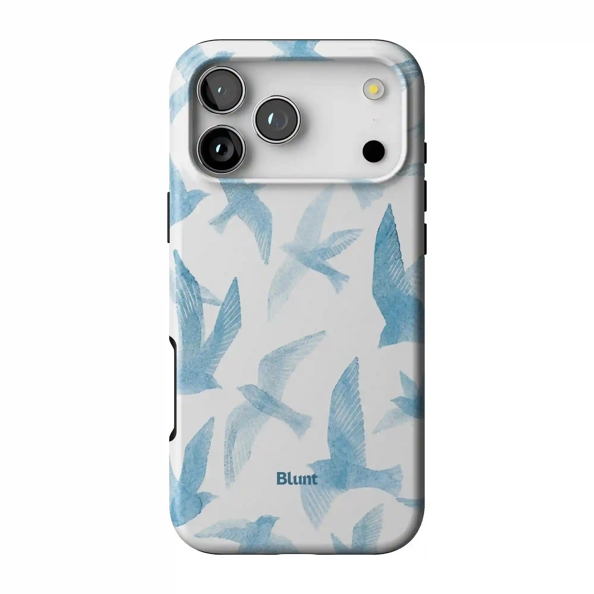 bluntcasesus.it.com