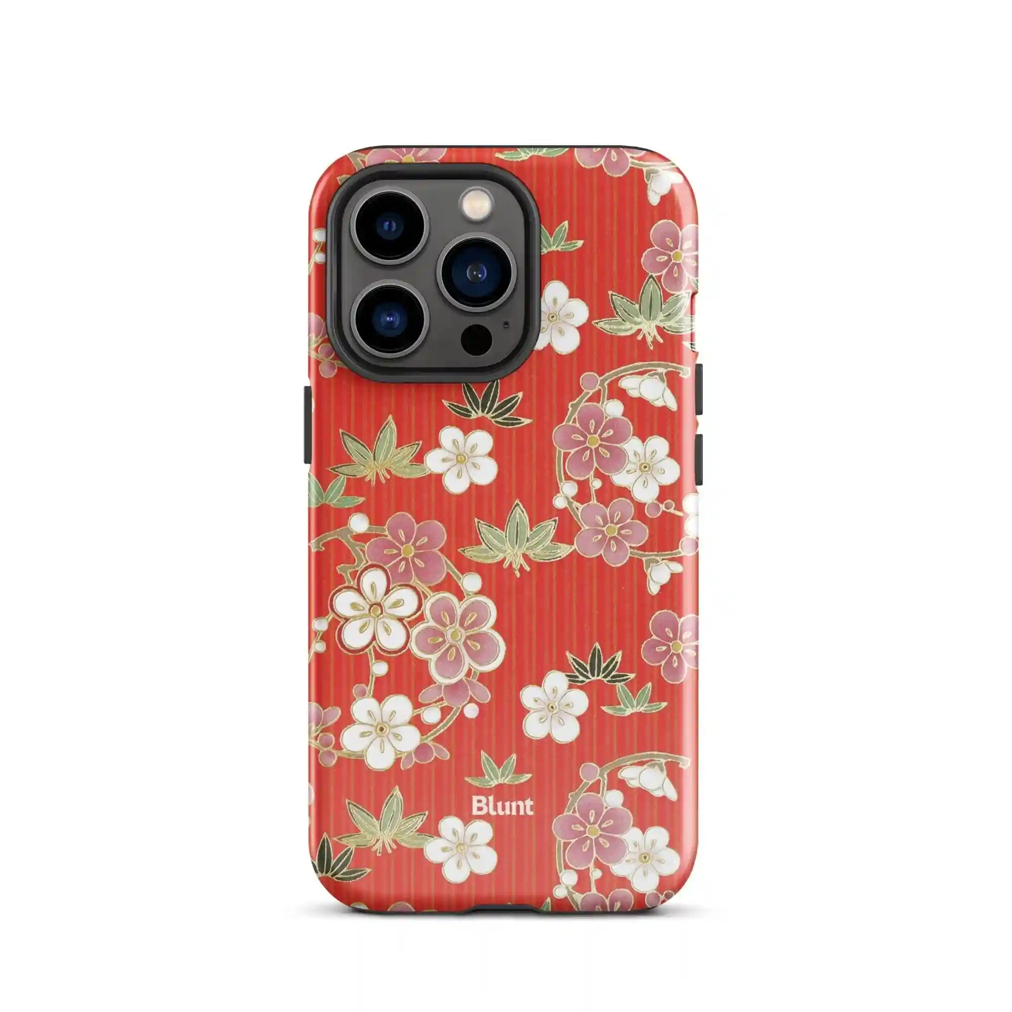 bluntcasesus.it.com