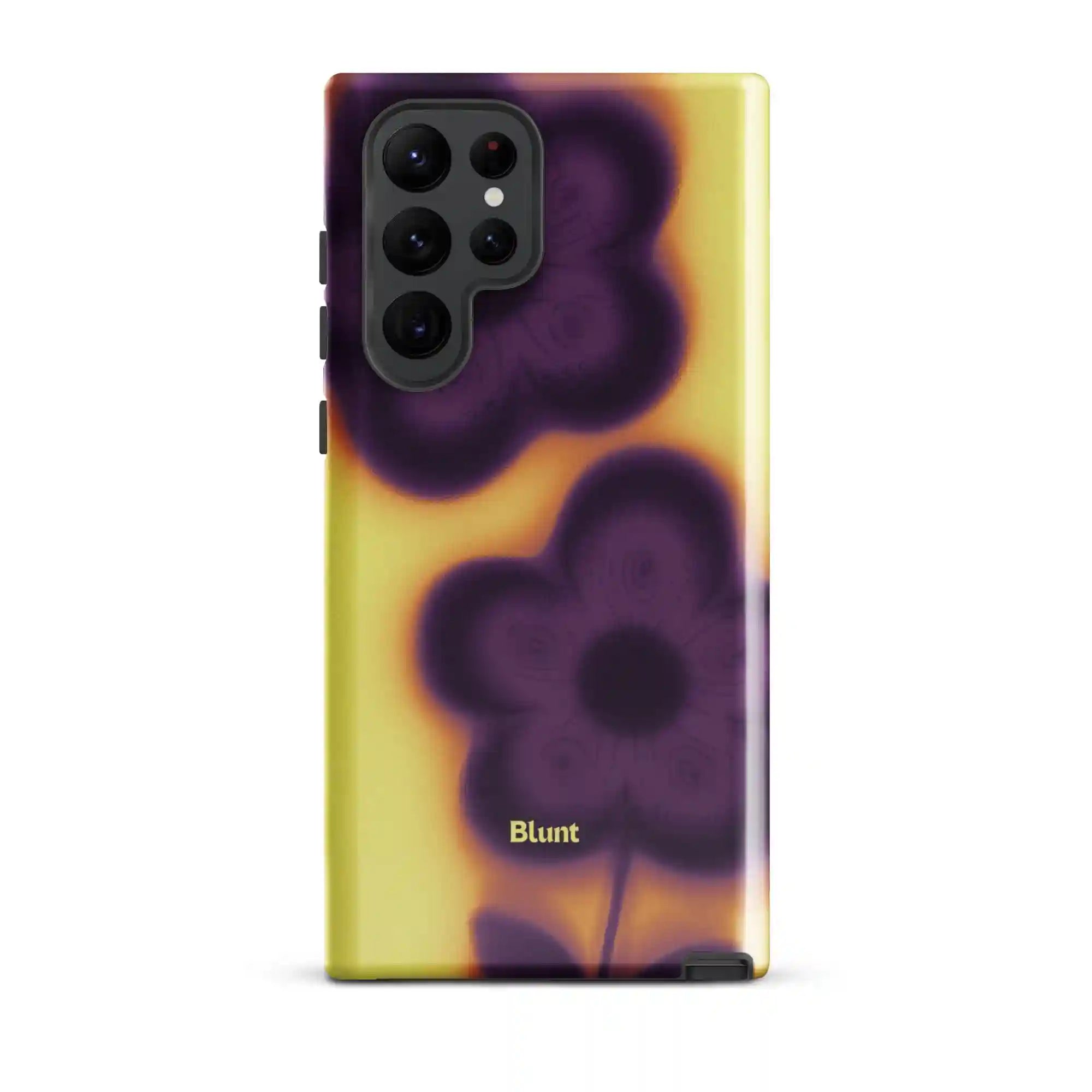 bluntcasesus.it.com