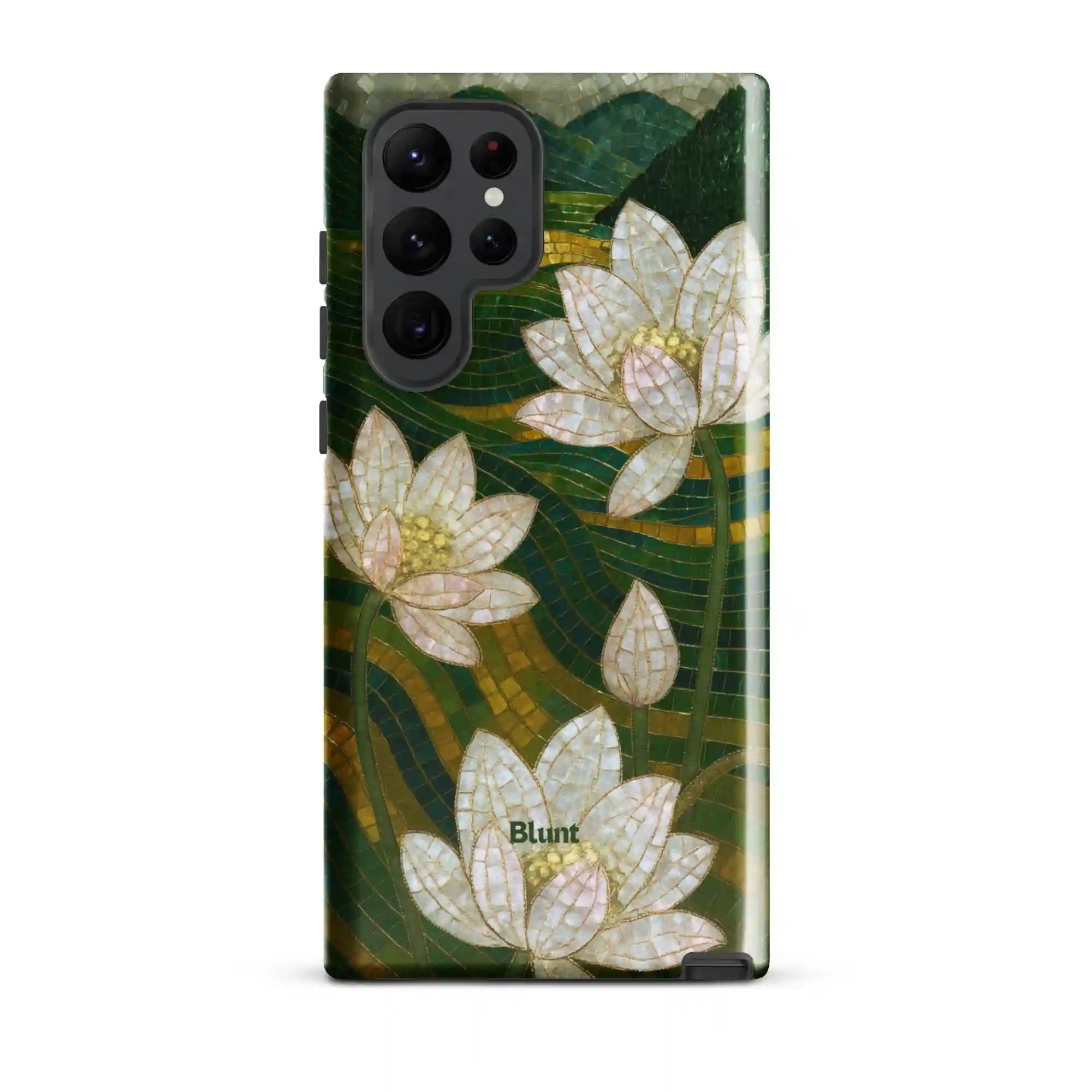 bluntcasesus.it.com