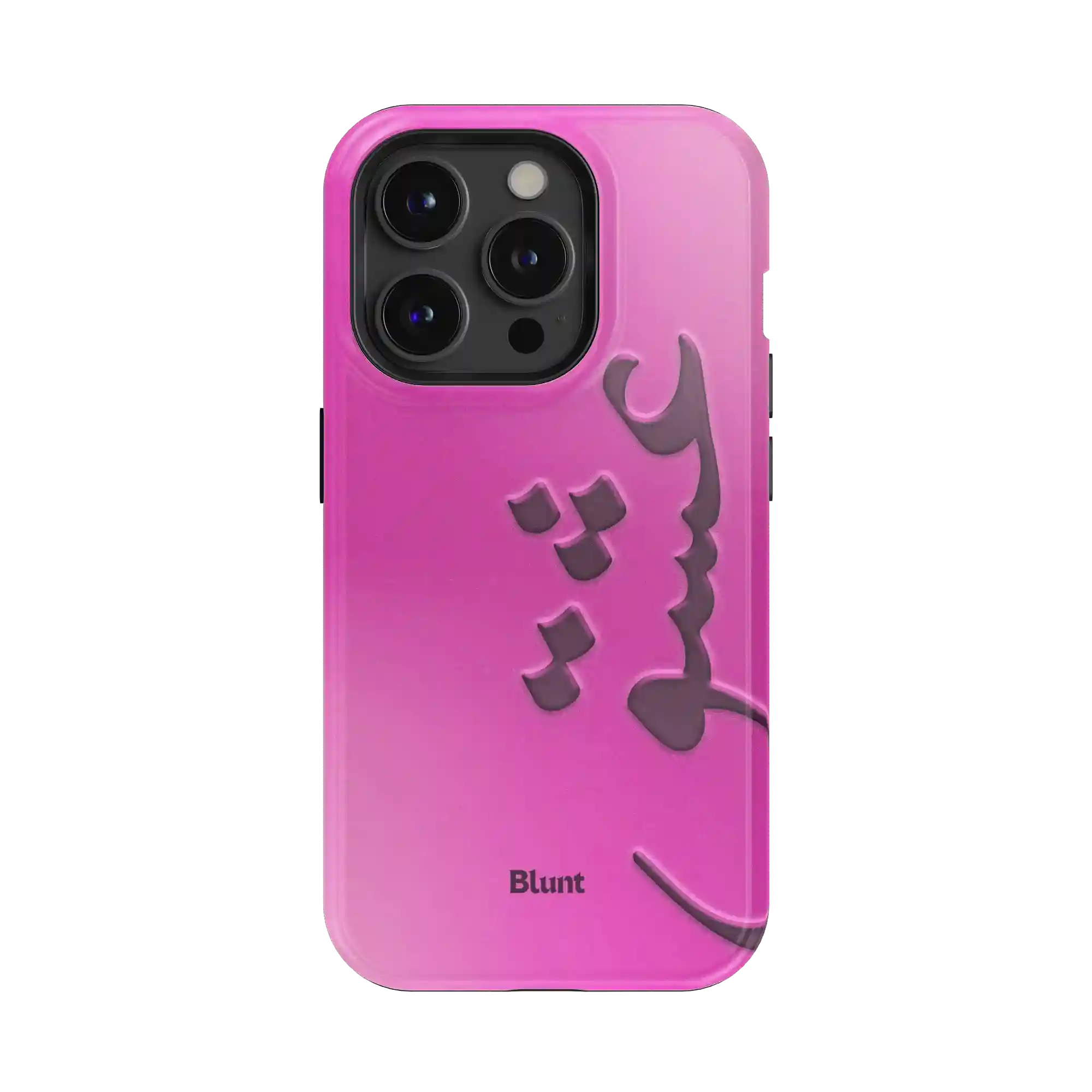 bluntcasesus.it.com