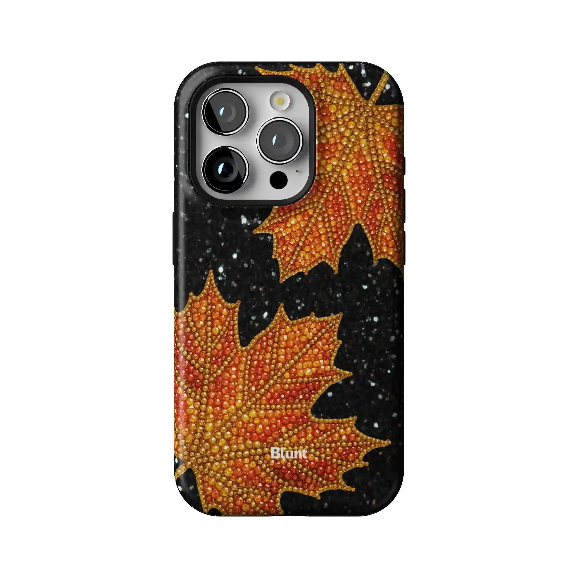 bluntcasesus.it.com
