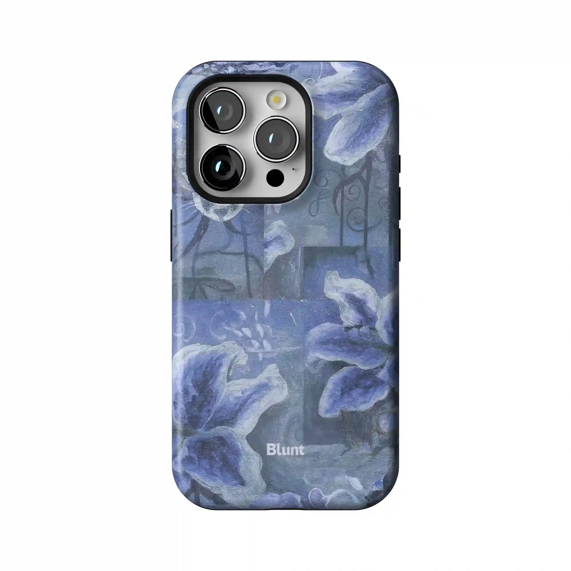 bluntcasesus.it.com