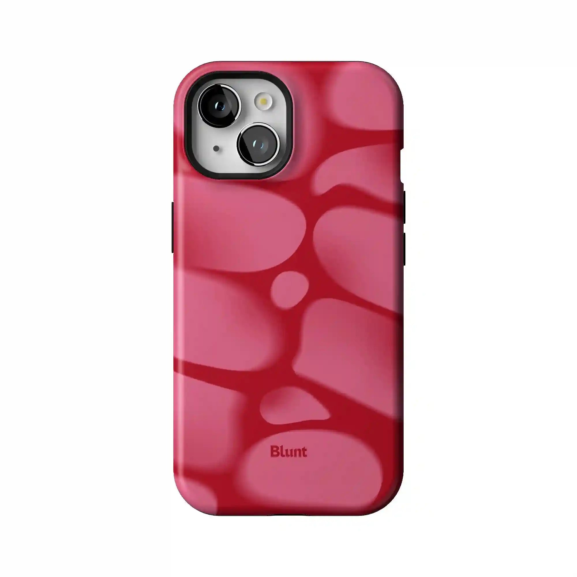 bluntcasesus.it.com