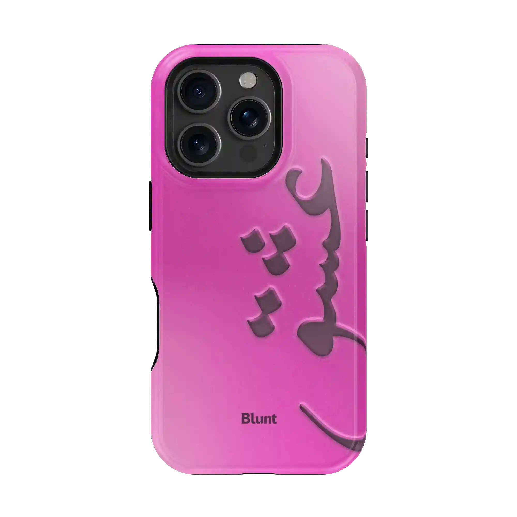 bluntcasesus.it.com