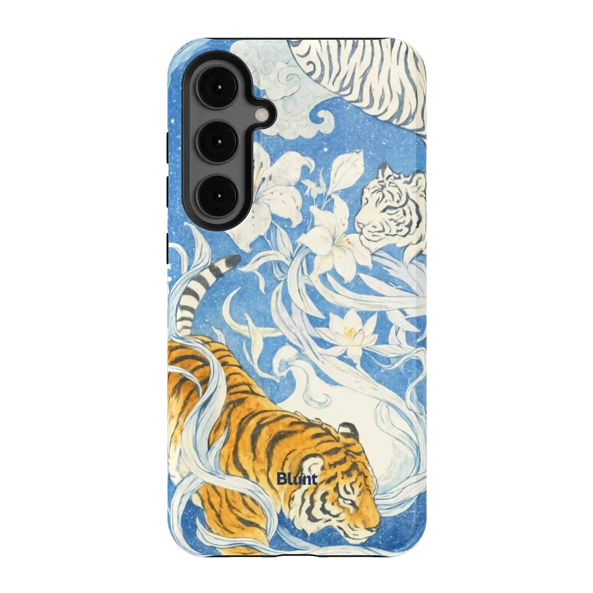 bluntcasesus.it.com