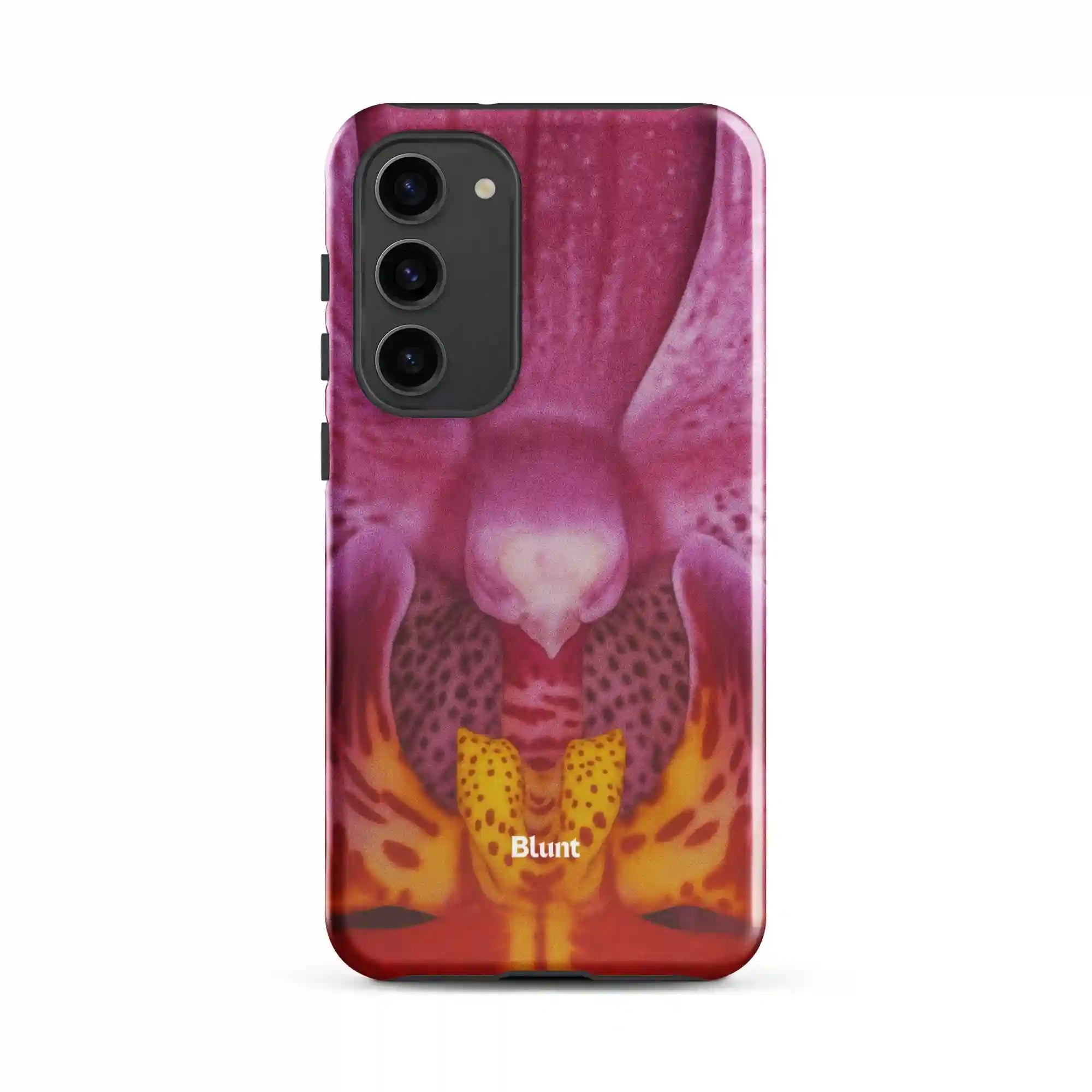 bluntcasesus.it.com